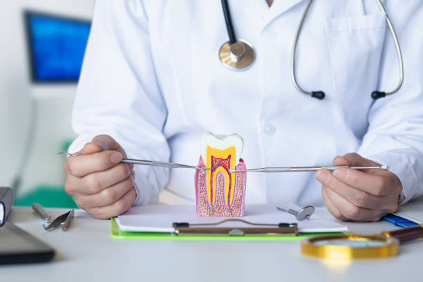 Best Emergency Dental Care for Broken or Chipped Teeth in Panama City Beach, FL